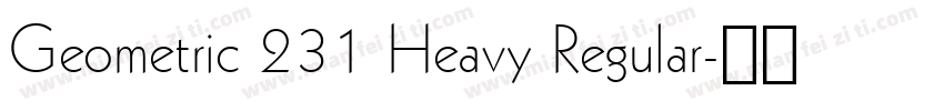 Geometric 231 Heavy Regular字体转换